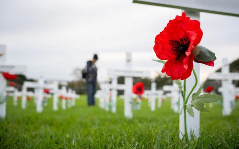 Bloemen bij een graf