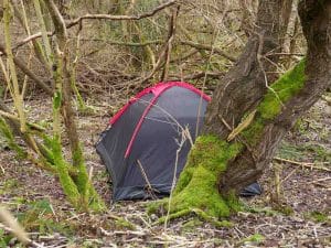 Tent in het bos